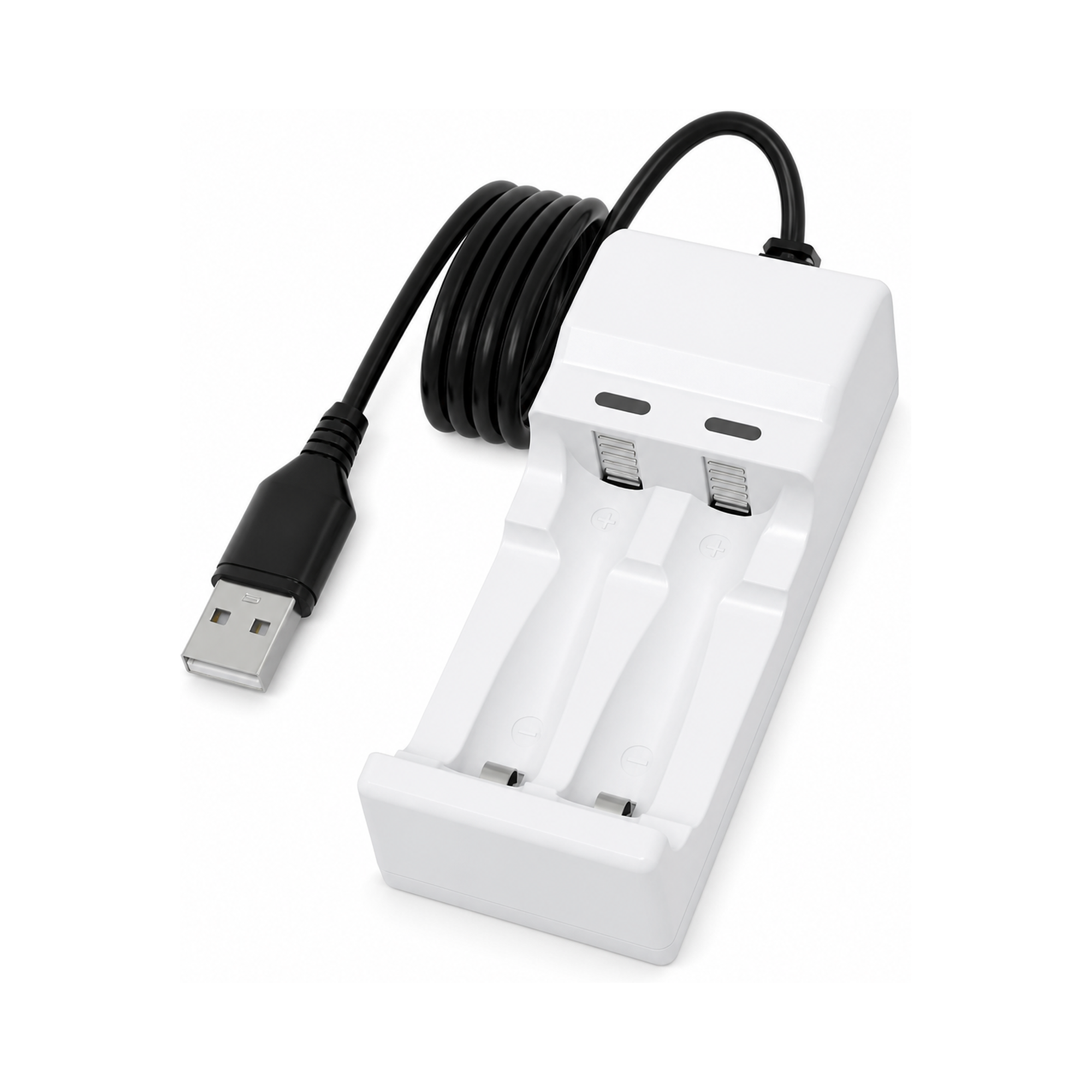PUJIMAX PJ-N210 2-Slot USB Battery Charger